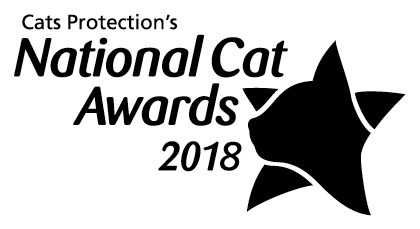 NCA 2018 logo